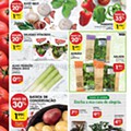 Antevisão Folheto PINGO DOCE Lojas Médias Promoções de 7 a 13 julho d6.jpg